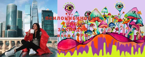 шишки Алзамай