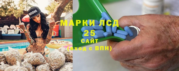 шишки Алзамай