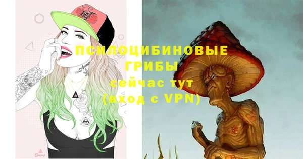 соль курить ск Алексеевка