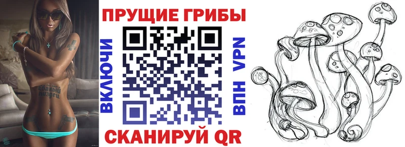 даркнет состав Амурск Псилоцибиновые грибы Cubensis наркота